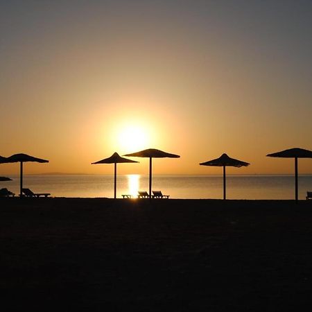 Cecelia Aparthotel Hurghada Exteriör bild